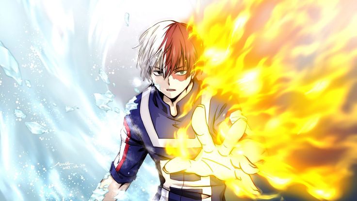 Shoto Todoroki Testi