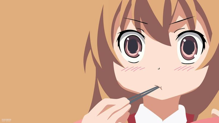 Toradora! Testi